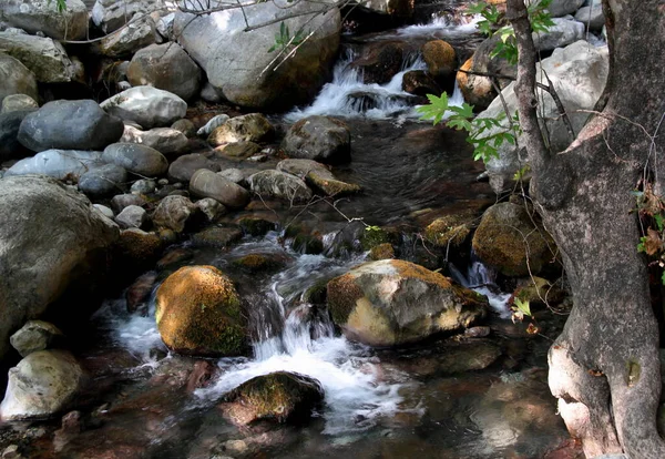 Türkiye 'nin güneyinde Alanya yakınlarındaki Sapadere Kanyonu' nda taşlar arasında hızlı nehir akışı