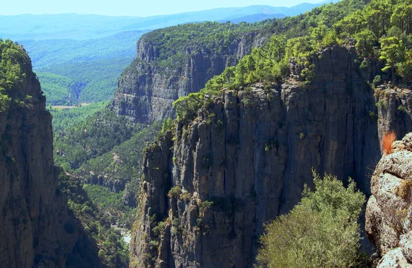 View Majestic Mountains Trees Top Them Tazi Canyon Antalya Region — Zdjęcie stockowe