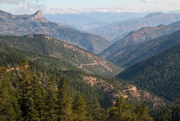 Türkiye 'nin Trabzon kenti yakınlarındaki Karadeniz bölgesinde bulutlu mavi gökyüzüne karşı çalılar ve ağaçlarla kaplı sıra sıra dağlar.