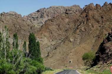 Doğu Anadolu 'da Erzurum ile Kars arasında dağlar, yollar, yeşil ağaçlar ve çalılıklar yer alıyor