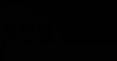 Bokeh Parıltısı Işık Sızıntısı Geçiş Süslemesi 60fps