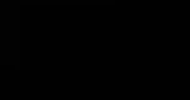 Свет Солнцезащитного Стекла Выщелачивает Накладку Перехода Кадров Секунду — стоковое видео