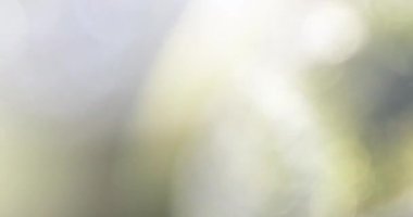 Çapraz Işık Sızıntıları Geçiş Üstüste 60 fps