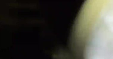 Solgunluk Işığı Sızıntısı Geçiş Üstüste 60 fps