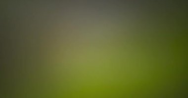 Görüntüleyici Işık Sızıntısı Geçiş Üstüste 60 fps