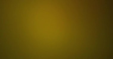 Prizma Işık Sızıntısı Geçiş Süslemesi 60fps