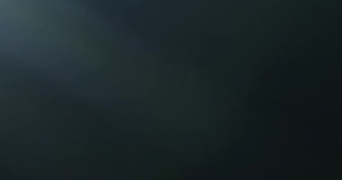 Bulanık Işık Sızıntısı Geçiş Süslemesi 60fps