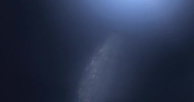 Noel Işık Sızıntısı Geçiş Süslemesi 60 fps