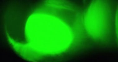 Wiry Light Sızıntıları Geçiş Süslemesi 60fps