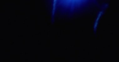 Ölümcül Işık Sızıntısı Geçiş Üstüste 60 fps