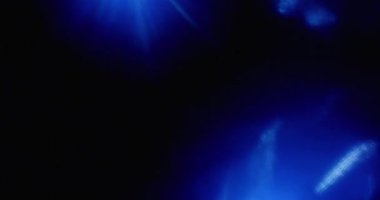 Buz Işığı Sızıntısı Geçiş Üstüste 60 fps