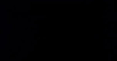 Çalışkan Işık Sızıntısı Geçiş Üstüste 60 fps