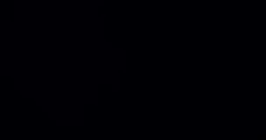 Görülen Işık Sızıntısı Geçiş Üstüste 60 fps