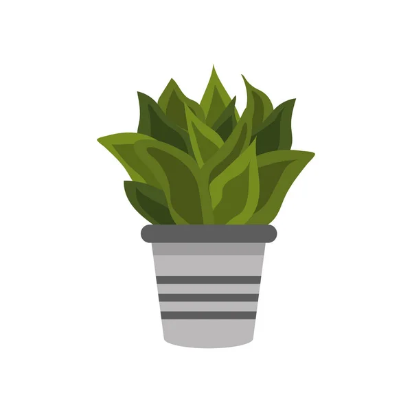 Plante Intérieur Pot Dessinée Main Illustration Plate — Image vectorielle
