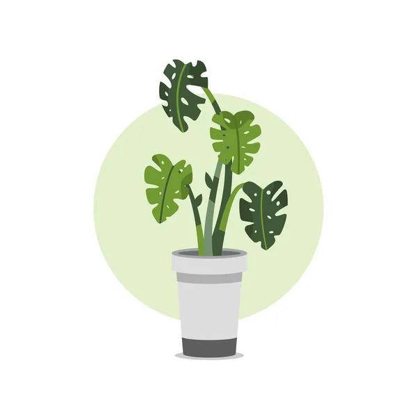 Hand Drawn Potted Houseplant Flat Illustration — стоковый вектор