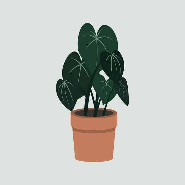 Hand Drawn Potted Houseplant Flat Illustration Стоковый вектор