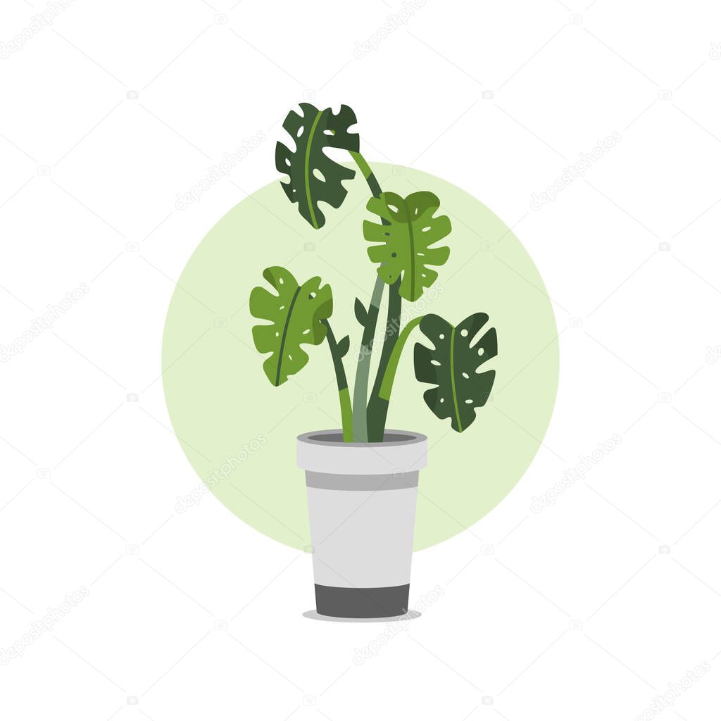 Hand Drawn Potted Houseplant in Flat Illustration