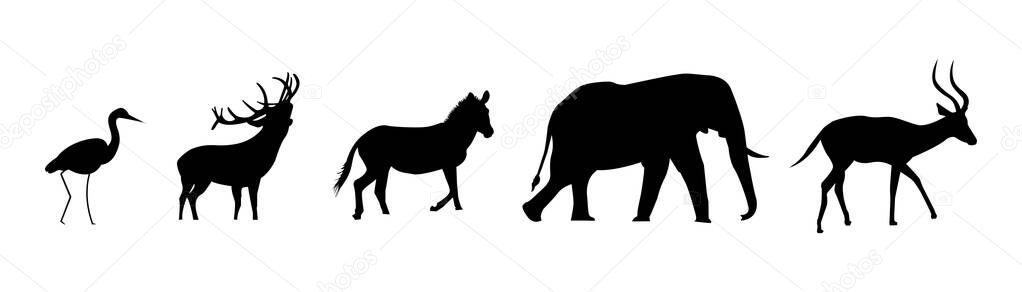 Group of wildlife animal silhouettes illustration