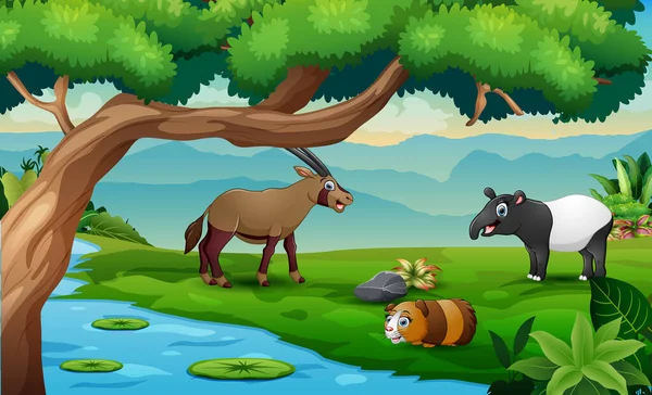 Animales Salvajes Dibujos Animados Jugando Prado Junto Río — Vector de stock