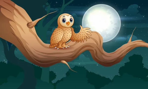 Baykuş Gece Çizimlerinde Ağaç Dalında Oturuyor — Stok Vektör