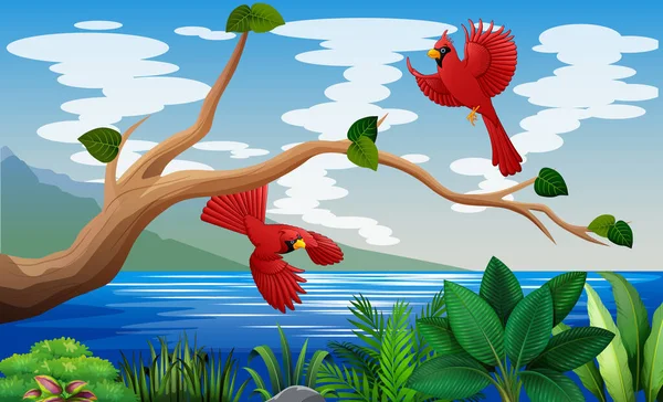 Kızıl Kardinaller Bir Gölün Deniz Resimlerinin Üzerinde Uçuyor — Stok Vektör