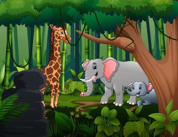 Jirafa Dibujos Animados Elefantes Que Viven Selva — Archivo Imágenes Vectoriales