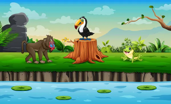 Wildtier Zeichentrickfilm Genießt Die Natur Fluss — Stockvektor
