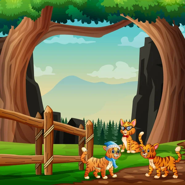 Lindos Tres Gatos Jugando Naturaleza — Vector de stock