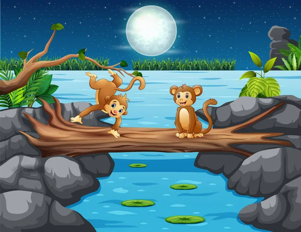 Macacos Engraçados Uma Ponte Tronco Paisagem Noturna —  Vetores de Stock
