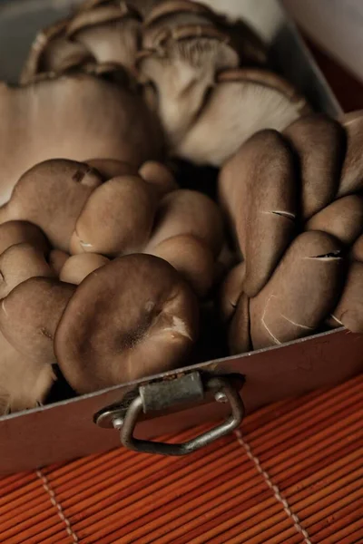 Fresh Oyster Mushrooms Metal Dish — стоковое фото