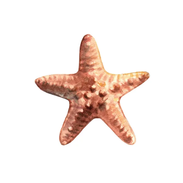 Vacker sjöstjärna. Undervattensliv objekt isolerad på vit bakgrund. Handritad akvarell illustration. Klistermärke — Stockfoto