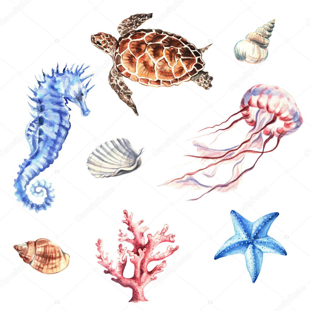Set of marine animals and shells. Underwater objects isolated on white background. Hand drawn watercolour. Clip art. For posters, T-shirts, textile and ceramic souvenirs, postcards, stickers