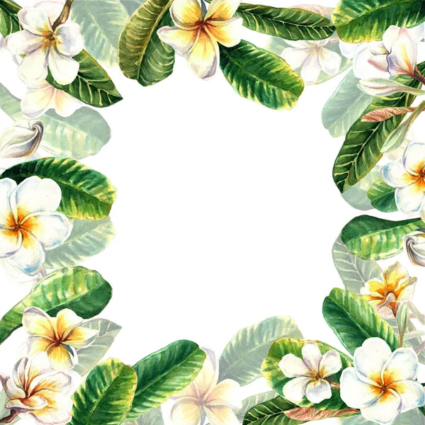 Akvarell trópusi keret egzotikus pluméria virágok és levelek. Kézzel festett virágos illusztráció elszigetelt fehér háttér tervezés — Stock Fotó