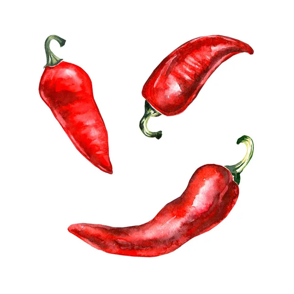 Czerwona Papryka Chili Całe Strąki Zestaw Ręcznie Rysowane Ilustracja Akwarela — Zdjęcie stockowe
