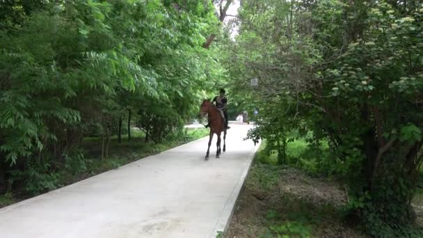 Freizeitpark Für Kinder Turkmenistan — Stockvideo