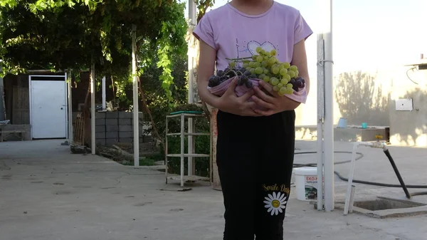 Menina Com Cesta Frutas — Fotografia de Stock