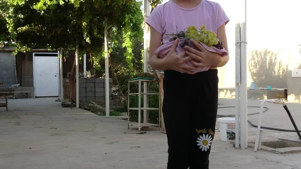 Menina Com Cesta Frutas — Fotografia de Stock