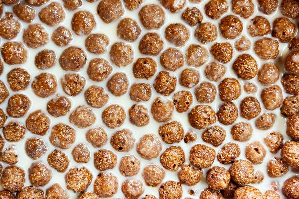 Chocolate corn balls on milk background texture, brown choco cereal balls pattern. healthy sweet snack for breakfast mockup with copy space top view