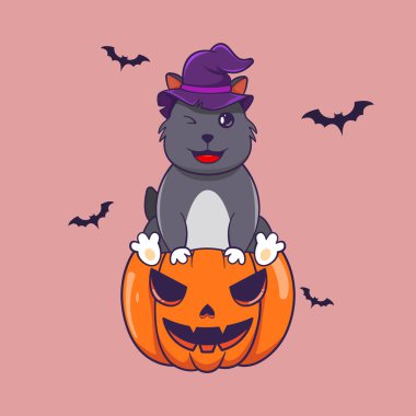 Cadılar bayramı kabağında oturan sevimli kedi cadı şapkası takıyor.