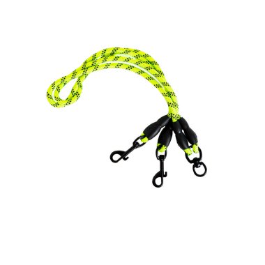 Köpekler için yeşil ve mavi oyuncaklar