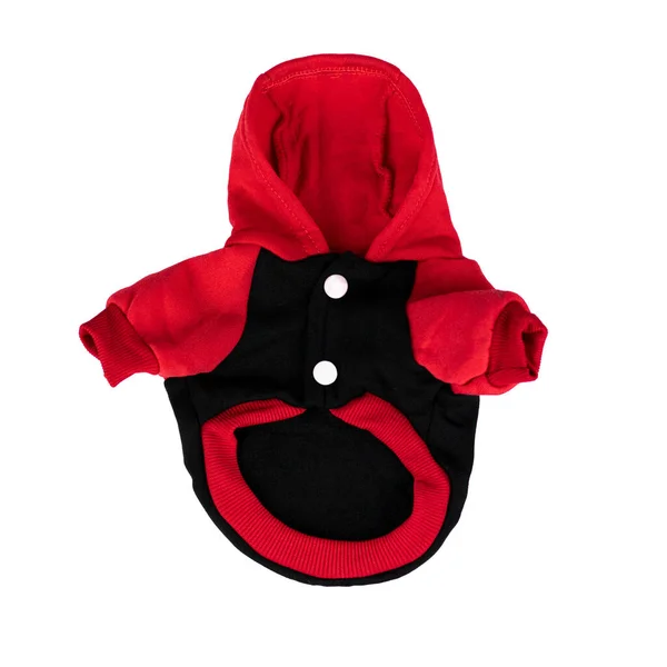 Чорно Червона Куртка Собачих Іграшок Собак Кішок — стокове фото