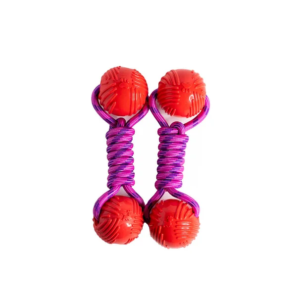 Pink Purle Double Boll Toys Cat Dog Pets — Stock Photo, Image