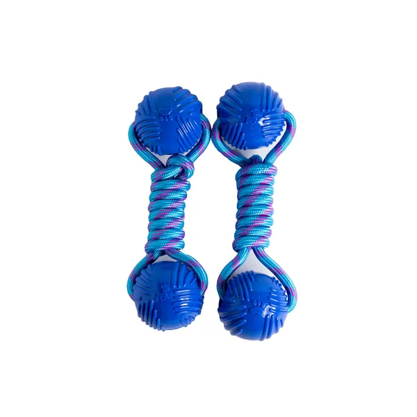 Jouets Double Poupée Bleu Pour Chat Chien Animaux Domestiques — Photo