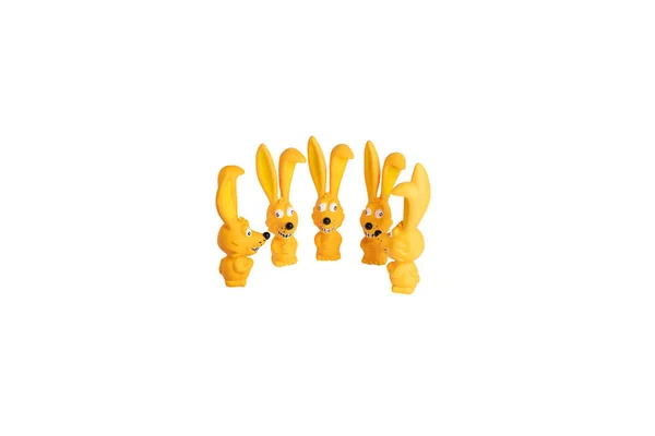 Evcil hayvan, kedi ve köpek için bir sürü sarı plastik tavşan oyuncağı.