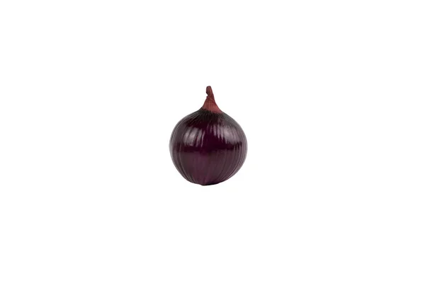 Red Golden Bow Onion Isolated White Background Collection — Stockfoto