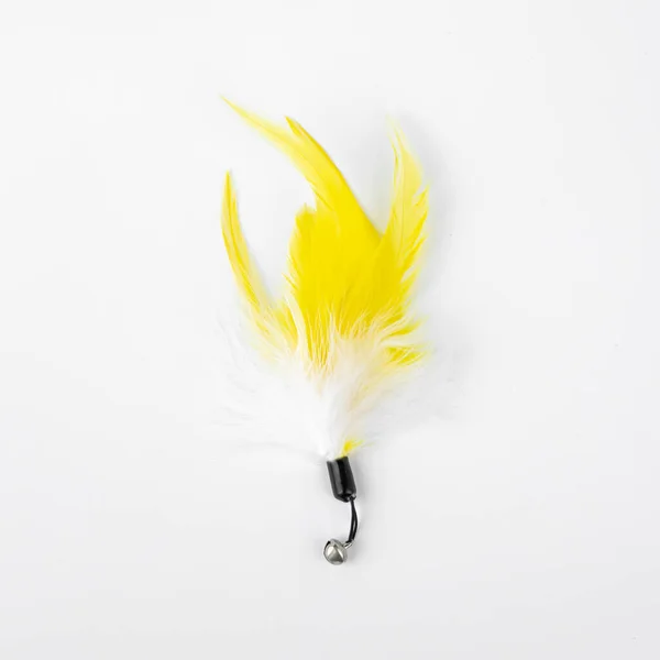 Yellow Mouse Feather Cat — ストック写真