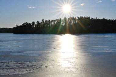Şubat güneşinde gölde