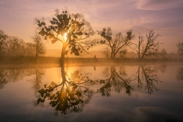 Guardians River — Stockfoto