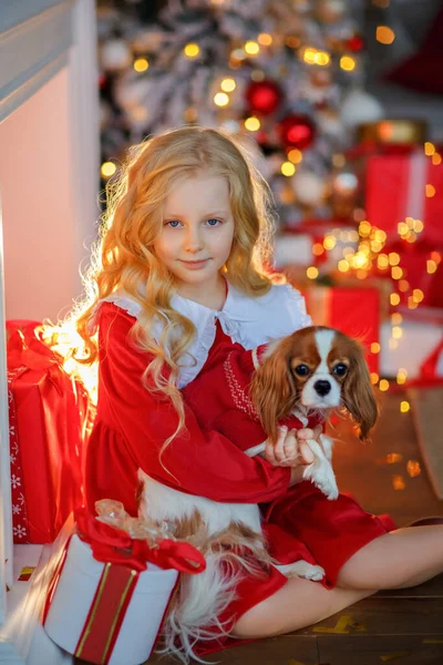 Encantadora Chica Rubia Vestido Rojo Fondo Árbol Navidad Jugando Con — Foto de Stock