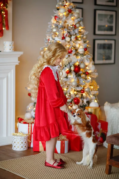 Bájos Szőke Lány Piros Ruhában Háttérben Egy Karácsonyfa Játszik Egy — Stock Fotó